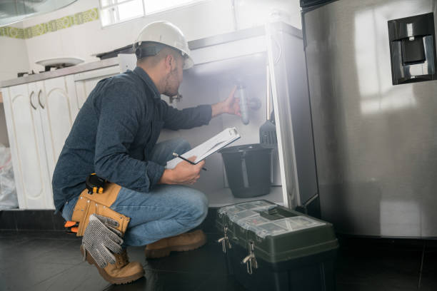 Best Commercial Plumbing Services  in Lasalle, IL