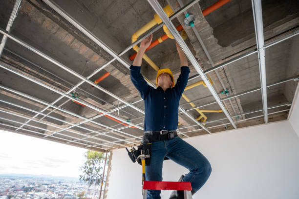 Best Emergency Plumber  in Lasalle, IL