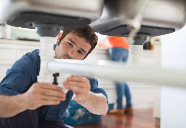 Best Plumbing Services Near Me  in Lasalle, IL